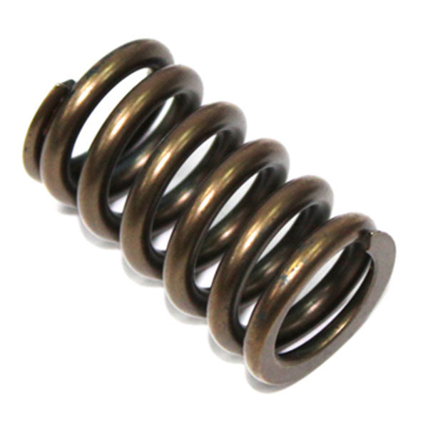 PSYCHIC INTAKE VALVE SPRING (XU-09528IS)