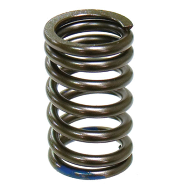 PSYCHIC INTAKE VALVE SPRING (XU-09540IS)