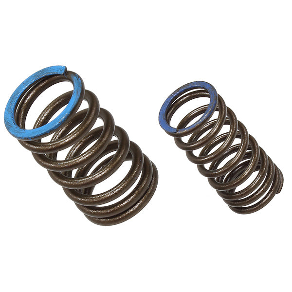 PSYCHIC INTAKE VALVE SPRING (XU-09563IS)