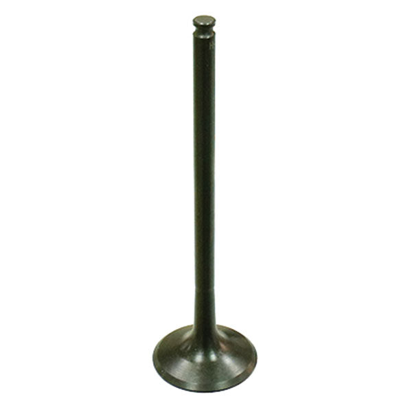 PSYCHIC EXHAUST VALVE R/T (XU-09550E)