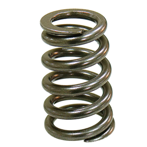 PSYCHIC INTAKE VALVE SPRING (XU-09550IS)