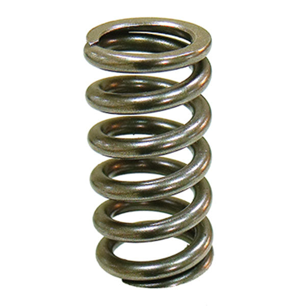 PSYCHIC INTAKE VALVE SPRING (XU-09551IS)