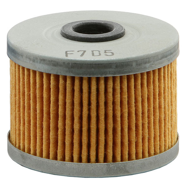 EMGO OIL FILTER (10-99220)