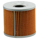 EMGO OIL FILTER (10-29800)