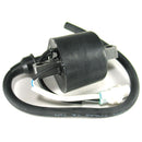 SPX IGNITION COIL (SM-01176)