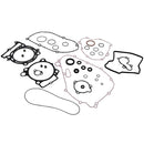 VERTEX GASKET SET & OIL SEALS (8110027)
