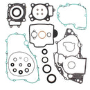 VERTEX GASKET SET & OIL SEALS (811268)