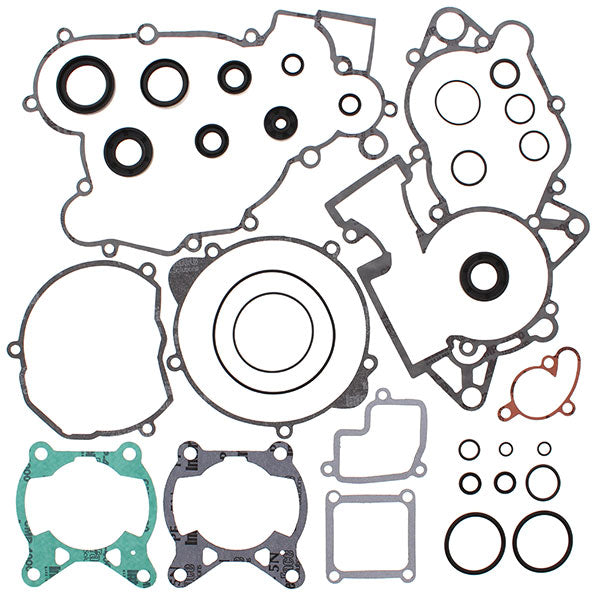 VERTEX GASKET SET & OIL SEALS (811315)