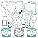 VERTEX GASKET SET & OIL SEALS (811324)