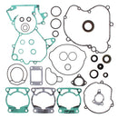 VERTEX GASKET SET & OIL SEALS (811338)