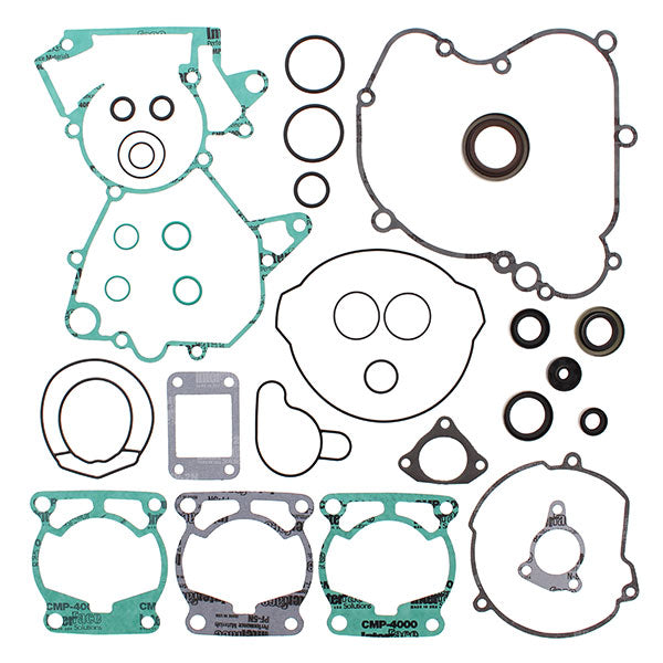 VERTEX GASKET SET & OIL SEALS (811338)