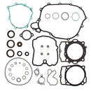VERTEX GASKET SET & OIL SEALS (811340)