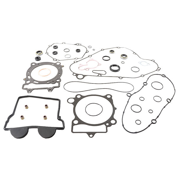 VERTEX GASKET SET & OIL SEALS (811485)