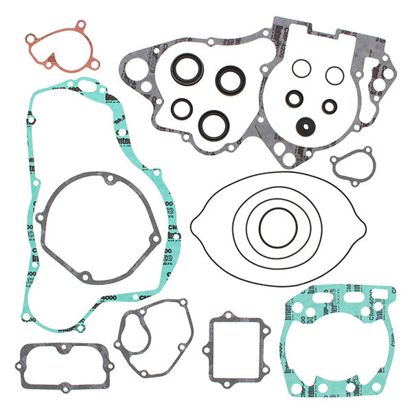 VERTEX GASKET SET & OIL SEALS (811593)