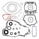 VERTEX GASKET SET & OIL SEALS (811669)