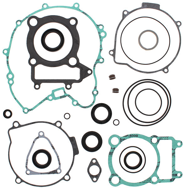 VERTEX GASKET SET & OIL SEALS (811845)