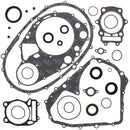 VERTEX GASKET SET & OIL SEALS (811870)