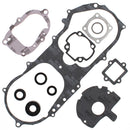 VERTEX GASKET SET & OIL SEALS (811887)
