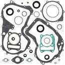 VERTEX GASKET SET & OIL SEALS (811914)