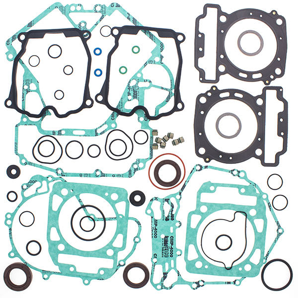 VERTEX GASKET SET & OIL SEALS (811956)