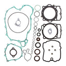 VERTEX GASKET SET & OIL SEALS (811959)