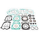 VERTEX GASKET SET & OIL SEALS (811982)