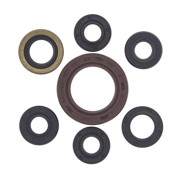 VERTEX ENGINE OIL SEAL KIT