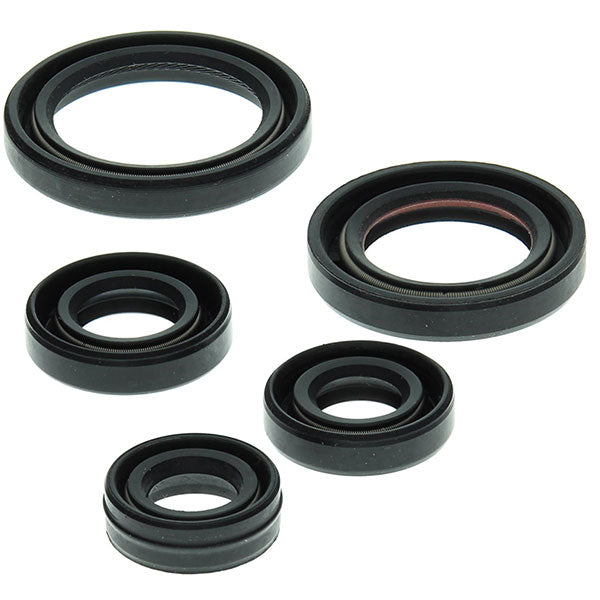 VERTEX ENGINE OIL SEAL KIT