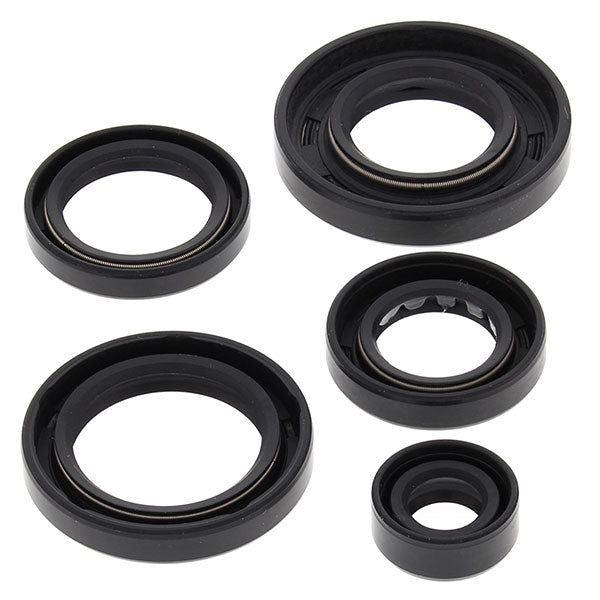 VERTEX ENGINE OIL SEAL KIT