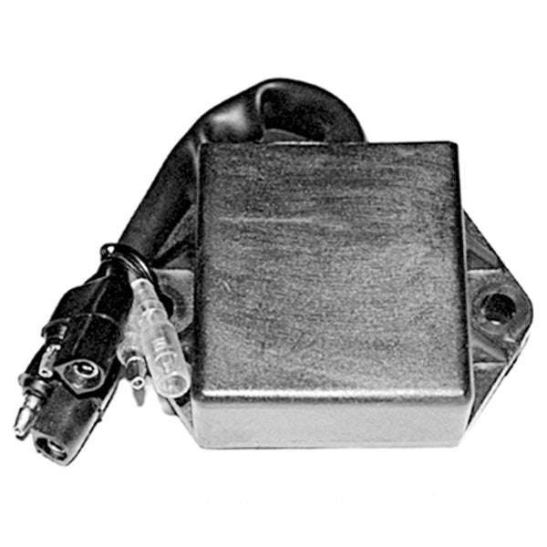 SPX CDI IGNITION BOX (01-143-28)