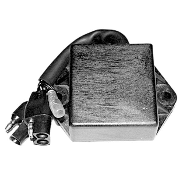 SPX CDI IGNITION BOX (01-143-27)