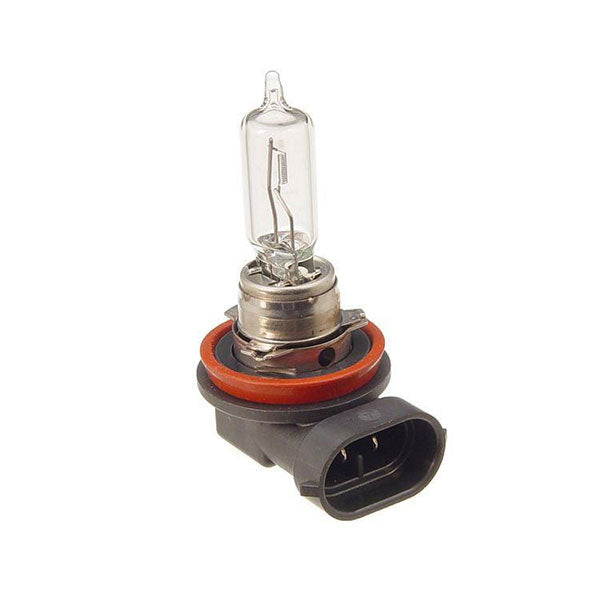 SPX BULB 10PK (UP-01005)