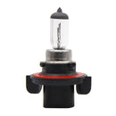 SPX BULB 10PK (UP-01011)