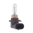 SPX BULB 10PK (UP-01008)