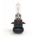SPX BULB 10PK (UP-01009)