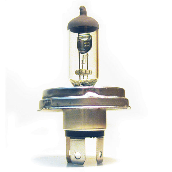 SPX BULB 10PK (01-178-03)