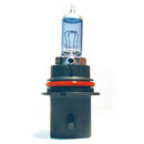 SPX BULB 10PK (01-179-01S)