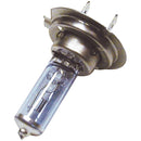 SPX BULB 10PK (SU-01004S)