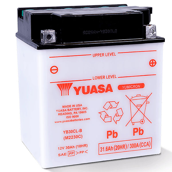 YUASA SERIES BATTERY (YUAM2230C)