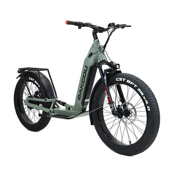 BAKCOU GRIZZLY ELECTRIC SCOOTER SAGE GREEN