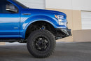 Addictive Desert Designs 2015-2017 FORD F-150 STEALTH FIGHTER FRONT BUMPER Model