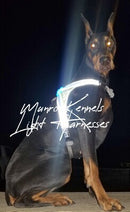 Munro Kennels Noxgear LightHound - LED Illuminated Dog Harness MK-LH