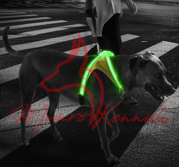 Munro Kennels Noxgear LightHound - LED Illuminated Dog Harness MK-LH