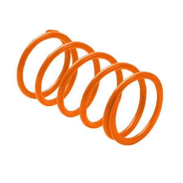 EPI SECONDARY DRIVEN CLUTCH SPRING (PEBS16)