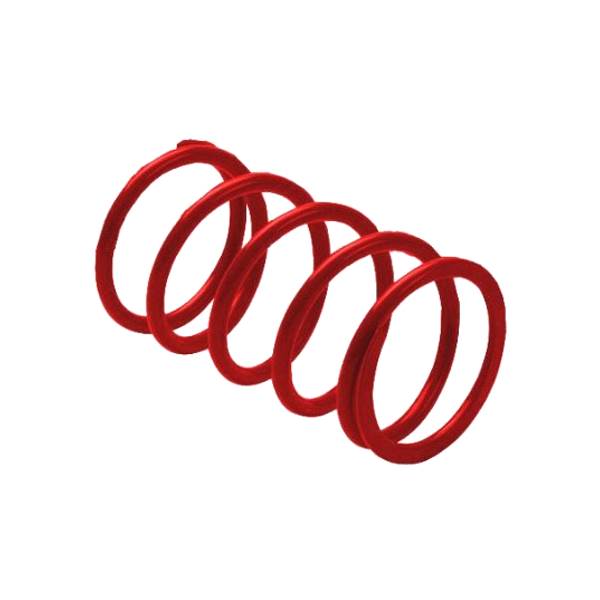 EPI SECONDARY DRIVEN CLUTCH SPRING (SZ12)